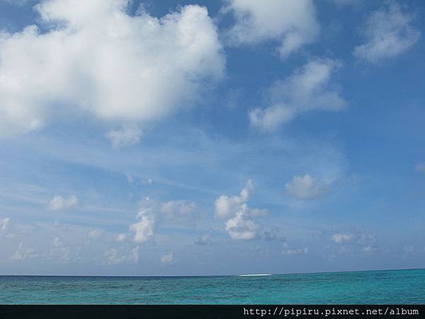 IMG_6139.JPG IMG_6139.JPG