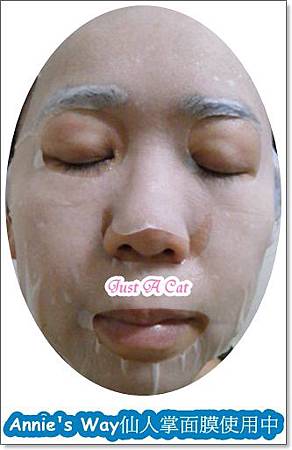 面膜使用中 試用
