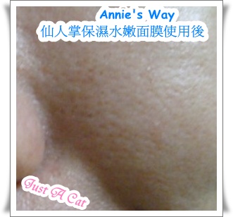 毛孔變小 試用