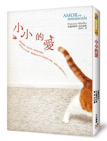 小小的愛立體書封 小小的愛立體書封