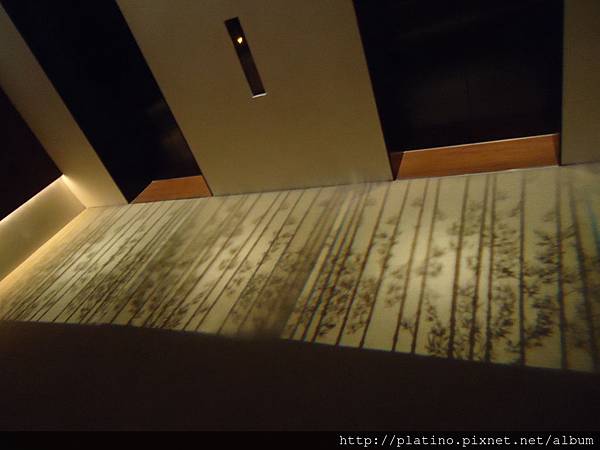 DSC00466 DSC00466