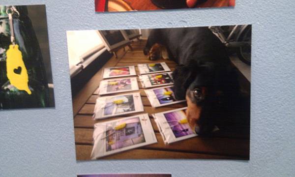 IMAG0349.jpg IMAG0349.jpg
