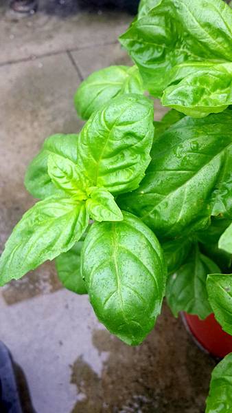 2013-11-05 10.10.14 2013-11-05 10.10.14