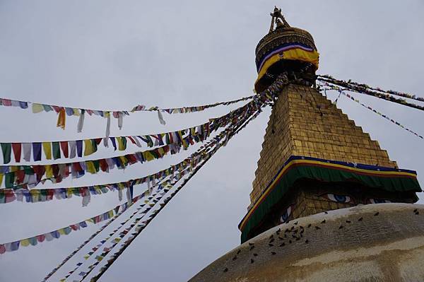 389588_10150972675109752_662296379_n 389588_10150972675109752_662296379_n