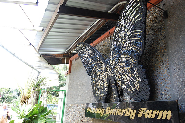 DSC_0231.JPG DSC_0231.JPG