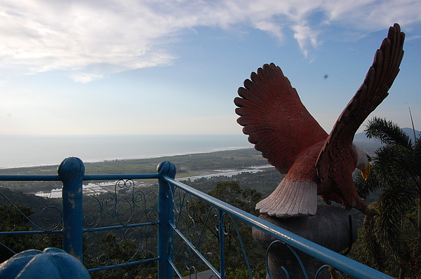 DSC_9929.JPG DSC_9929.JPG