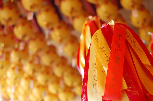 DSC_0601.JPG DSC_0601.JPG