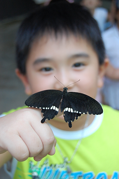 DSC_0251 - Copy.JPG DSC_0251 - Copy.JPG