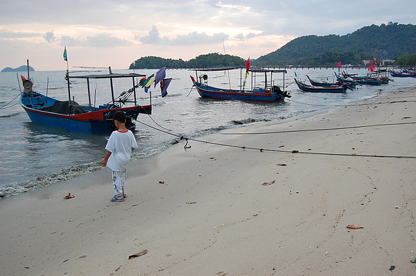 DSC_0430 - Copy.JPG DSC_0430 - Copy.JPG