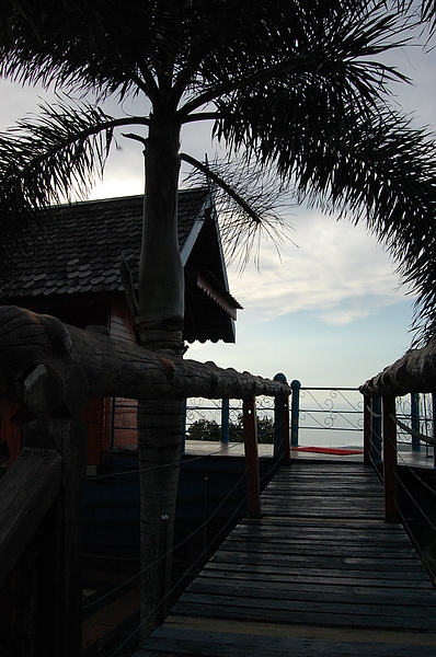 DSC_9921.JPG DSC_9921.JPG