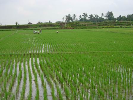 4a224729.jpg 4a224729.jpg