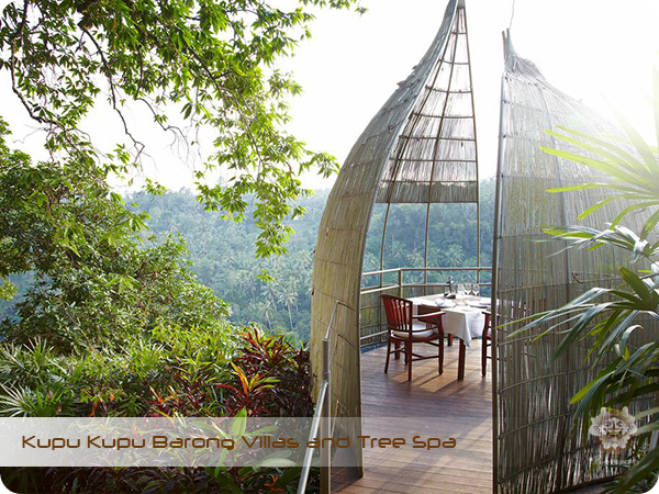 Kupu Kupu Barong Resort and Tree Spa Bird Nest Romantic Dinner