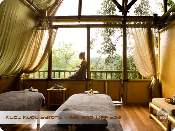Kupu Kupu Barong Resort and Tree Spa Tree Spa