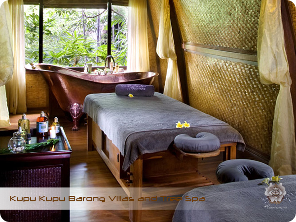 Kupu Kupu Barong Resort and Tree Spa Lumbung House