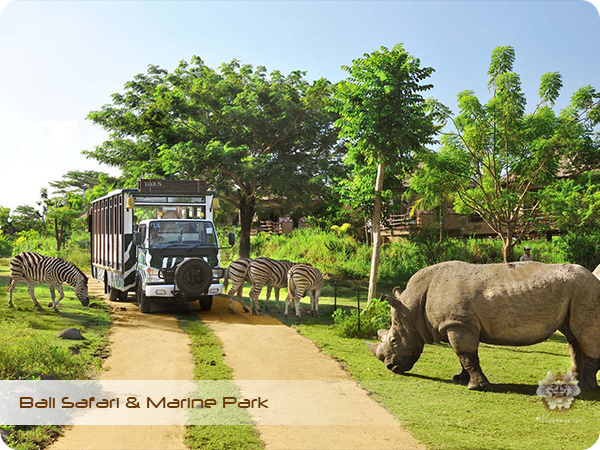 Bali Safari & Marine Park Safari Journey.jpg