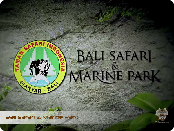 Bali Safari & Marine Park.jpg