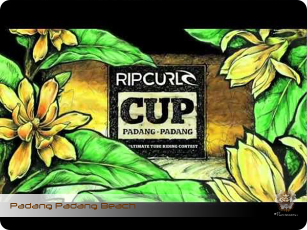 Padang Padang Beach Rip Curl Cup 1.jpg