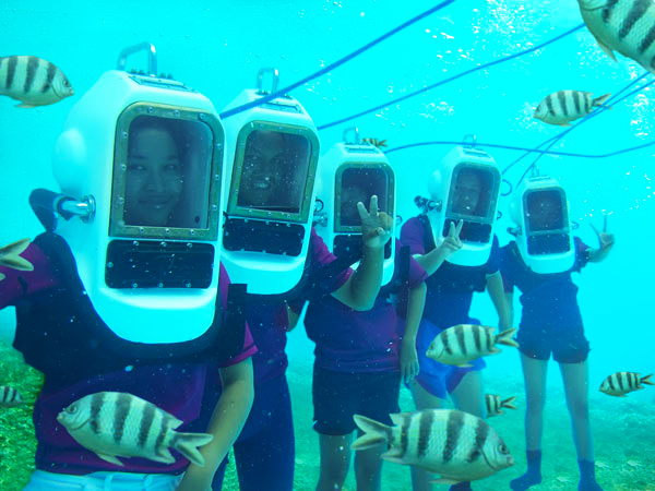 c-trex (2).jpg c-trex (2).jpg