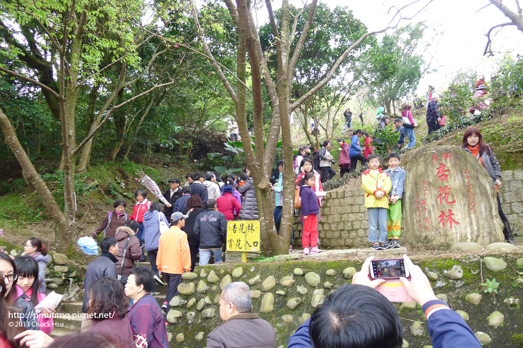 排隊一個接一個上階梯才走的到杏花林.....