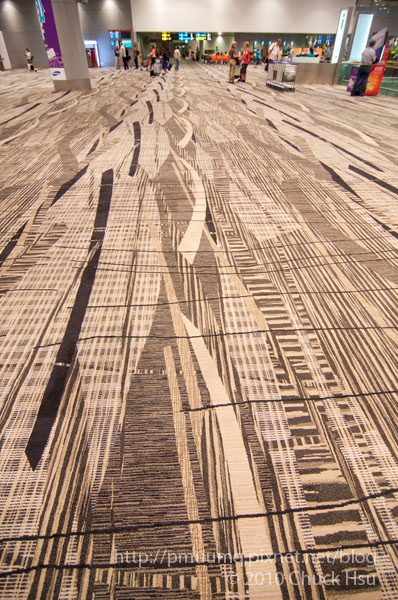 樟宜機場的地毯感覺躺在上面應該很舒服.jpg
