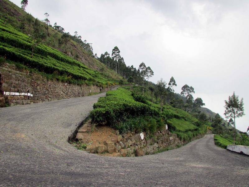 20131014 Day10_078.JPG