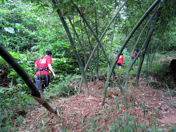 20140525碧山越野_008.jpg