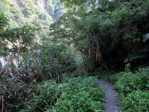 20140601花蓮錐麓_028.JPG