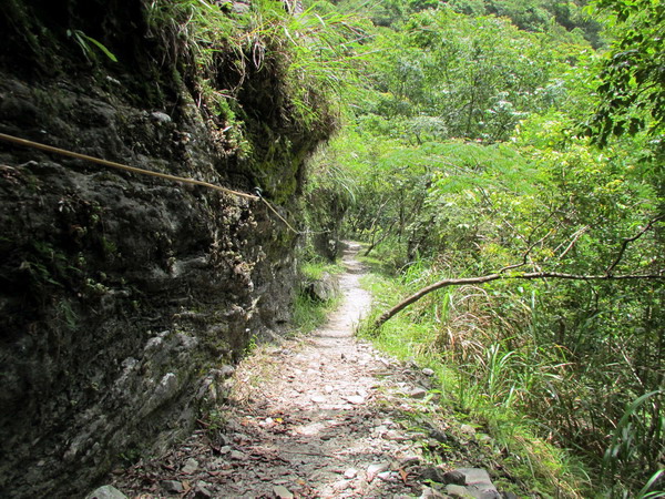 20140601花蓮錐麓_075.JPG