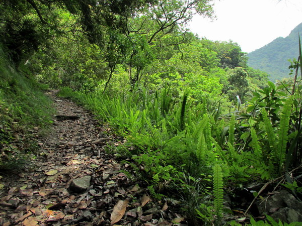 20140601花蓮錐麓_082.JPG