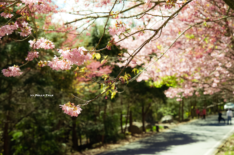 DSC_1055 DSC_1055