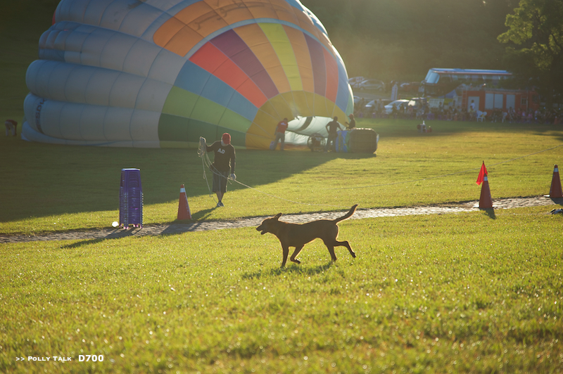 DSC_6394 DSC_6394