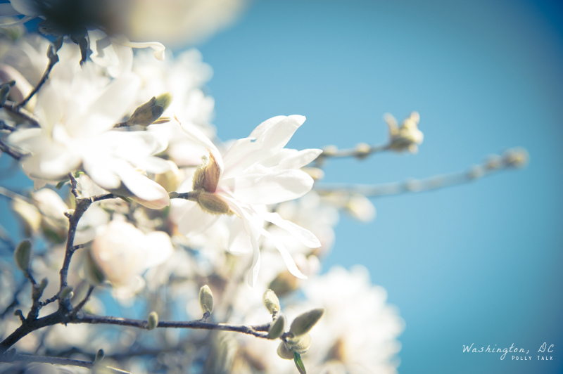 DSC_2979 拷貝.jpg DSC_2979 拷貝.jpg