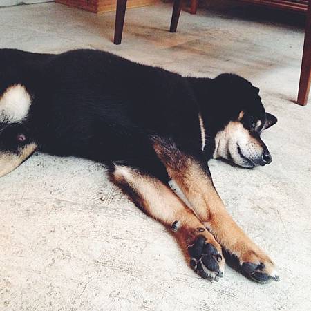 IMG_5549.JPG IMG_5549.JPG