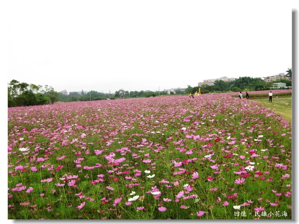 IMG_3397.JPG IMG_3397.JPG