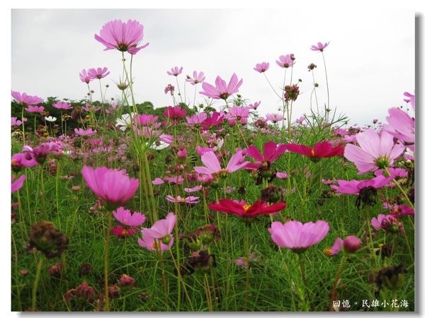 IMG_3399.JPG IMG_3399.JPG