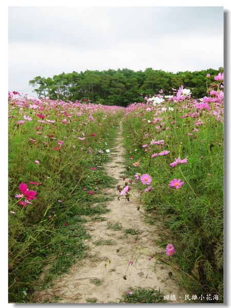 IMG_3400.JPG IMG_3400.JPG