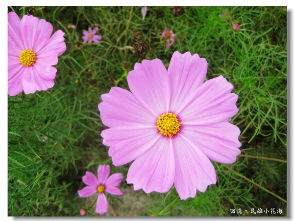 IMG_3401.JPG IMG_3401.JPG