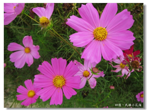 IMG_3402.JPG IMG_3402.JPG