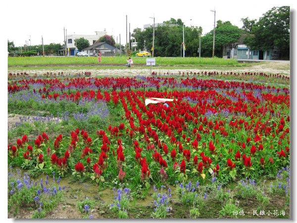 IMG_3405.JPG IMG_3405.JPG