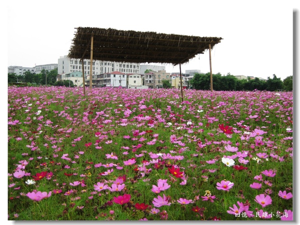 IMG_3406.JPG IMG_3406.JPG