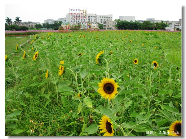 IMG_3417.JPG IMG_3417.JPG