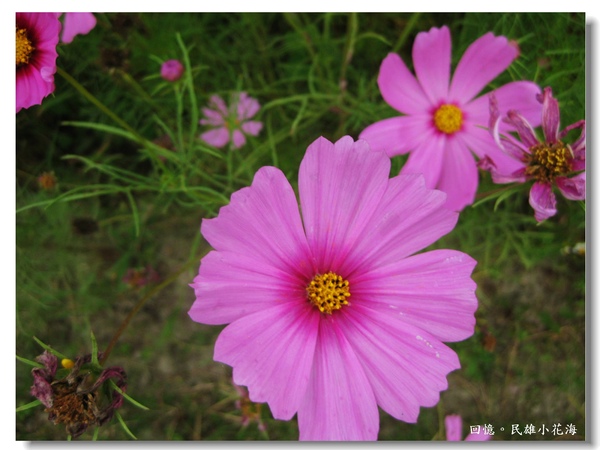 IMG_3425.JPG IMG_3425.JPG