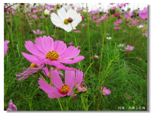 IMG_3431.JPG IMG_3431.JPG