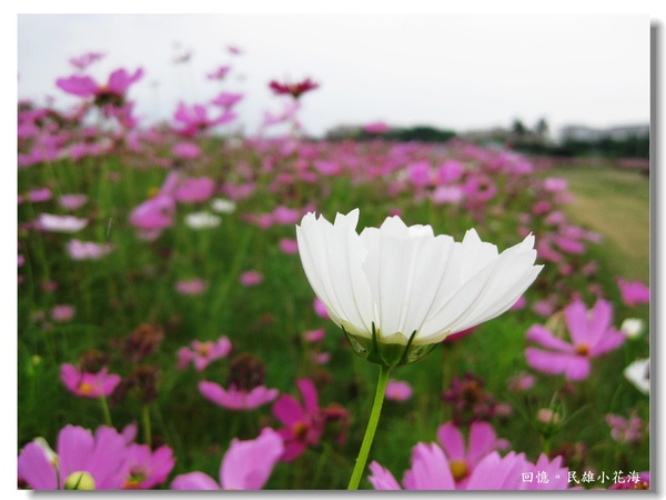 IMG_3432.JPG IMG_3432.JPG