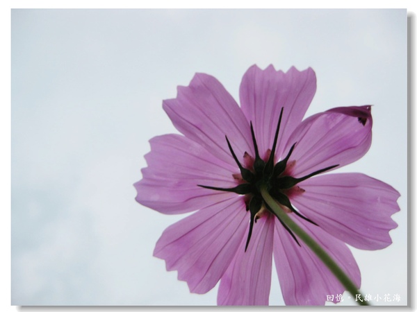 IMG_3441.JPG IMG_3441.JPG