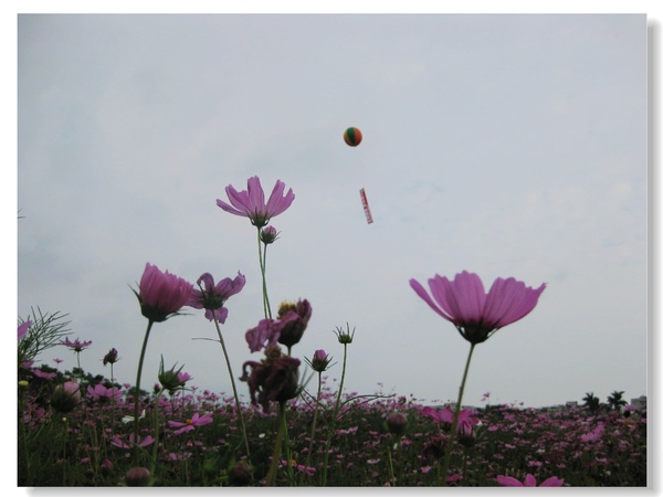 IMG_3443.JPG IMG_3443.JPG