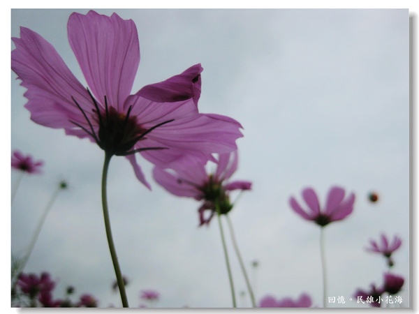 IMG_3444.JPG IMG_3444.JPG