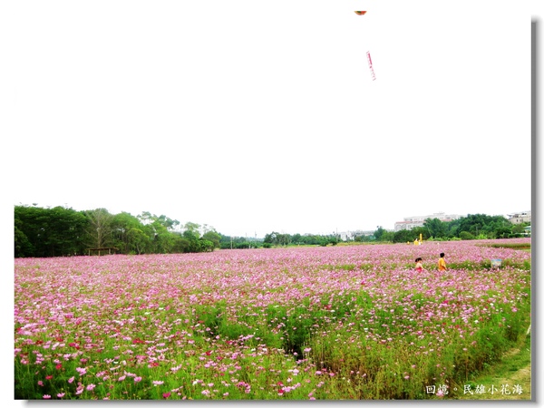 IMG_3445.JPG IMG_3445.JPG