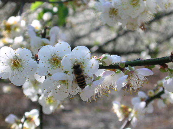 DSCN0934.JPG DSCN0934.JPG