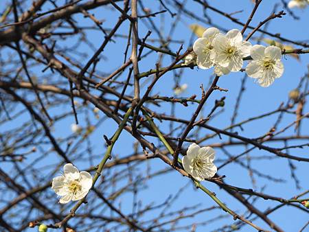 IMG_5757 IMG_5757